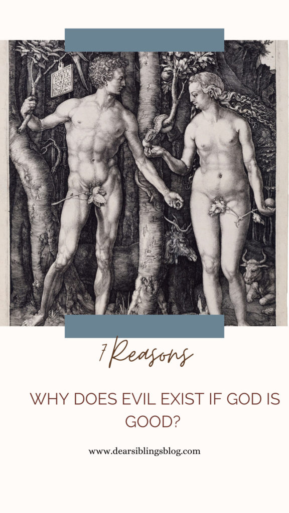 Why does Evil exist if God is good? 7 Reasons.